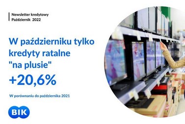 Newsletter kredytowy BIK – najnowsze dane o sprzedaży kredytów w Polsce